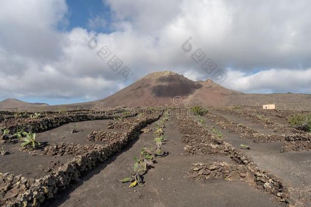 崎岖的风景关于火山的泥土,<strong>兰萨罗特岛岛</strong>,西班牙