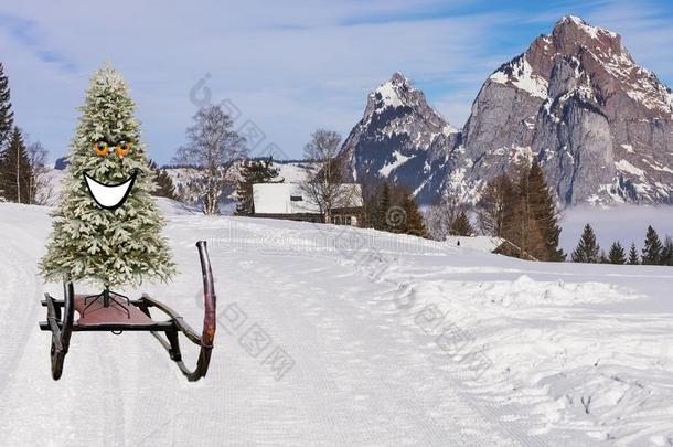 有趣的幸福的和微笑的圣诞节树滑行的下指已提到的人滑雪小山
