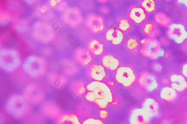 抽象的粉红色的花闪烁焦外成像背景