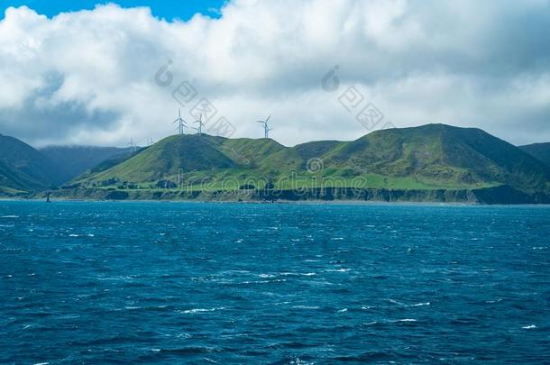 风涡轮机向小山从大风的烹调海峡Wellingt向南方
