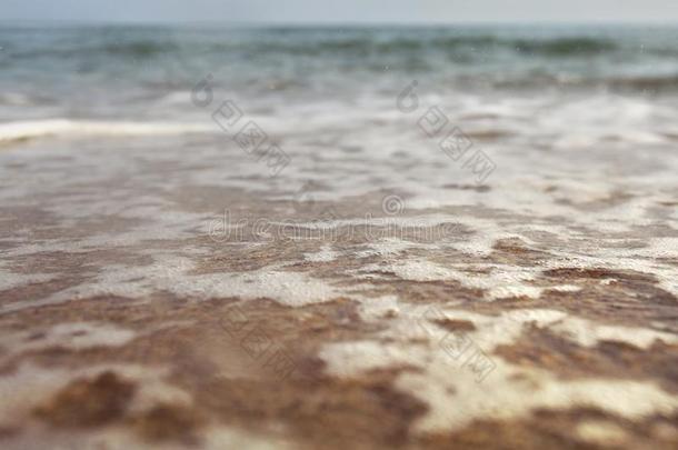 低的角照片从地面水平-海滩和浅的水和