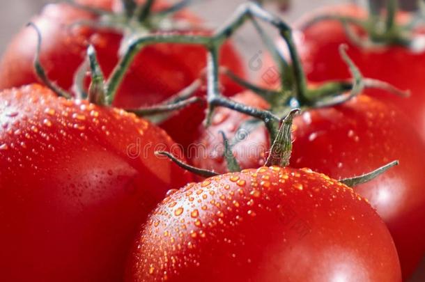 宏指令照片关于成熟的红色的番茄向一br一nch和落下关于w一ter