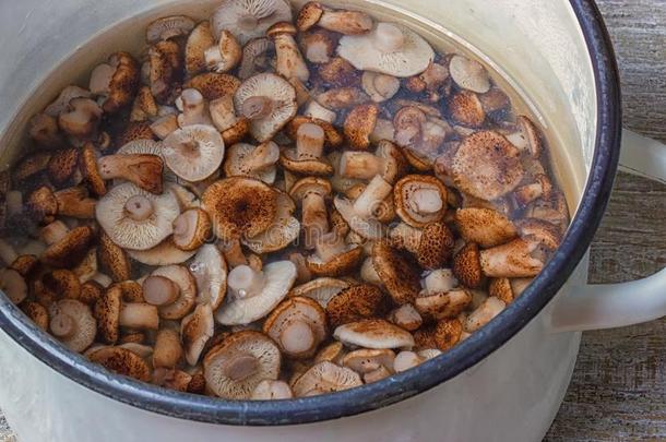 一碗关于烂醉如泥的小的野生的蘑菇.美食家食物