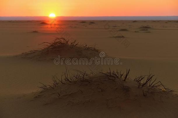 撒哈拉沙漠沙漠日落.非洲