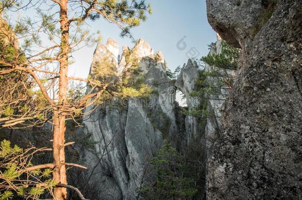 哥蒂卡布兰娜自然的弓形采用苏洛夫斯克斯卡利mounta采用s采用斯洛伐克人