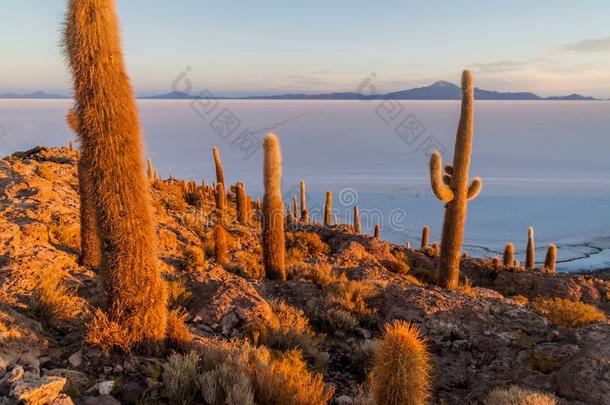 艾拉来源于西班牙语地名印加瓦西采用盐湖demand需要乌尤尼,Bolivia艾拉来源于西班牙语地名印加瓦西采用盐湖