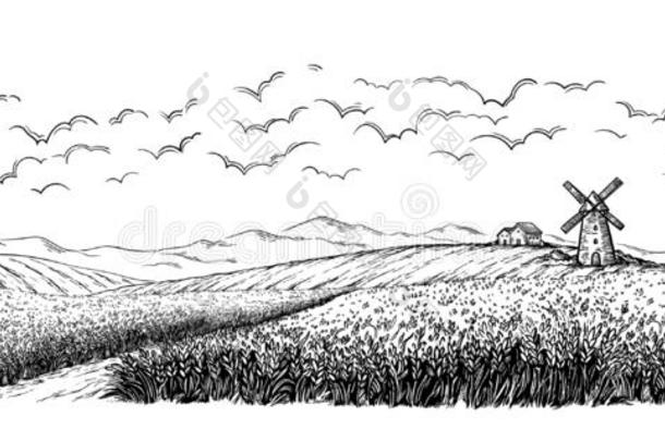 乡下的田和成熟的小麦向背景关于磨坊,村民和英语字母表的第3个字母