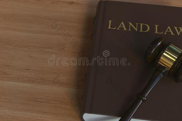 陆地法书和法院小木槌.3英语字母表中的第四个字母翻译