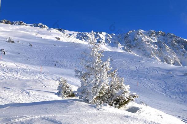 冬季体育罗索恩:来自瑞士的alkali-treatedlipopolysaccharide碱处理的脂多糖雪山风景,扁豆