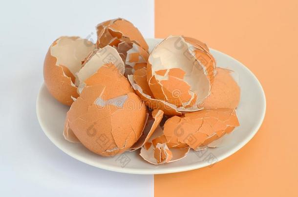 棕色的鸡蛋壳向白色的茶<strong>杯托</strong>向白色的和棕色的后面