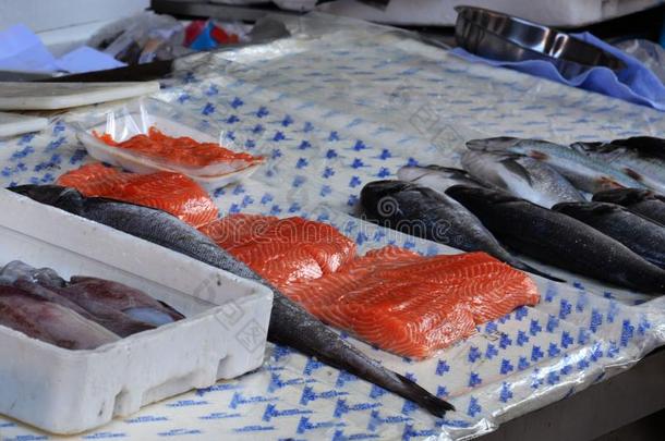 新鲜的鱼采用指已提到的人交易电灯泡,波尔图,葡萄牙