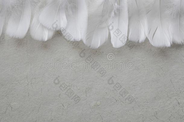 天使的行关于白色的羽毛形成头部向下的一跳或跌落