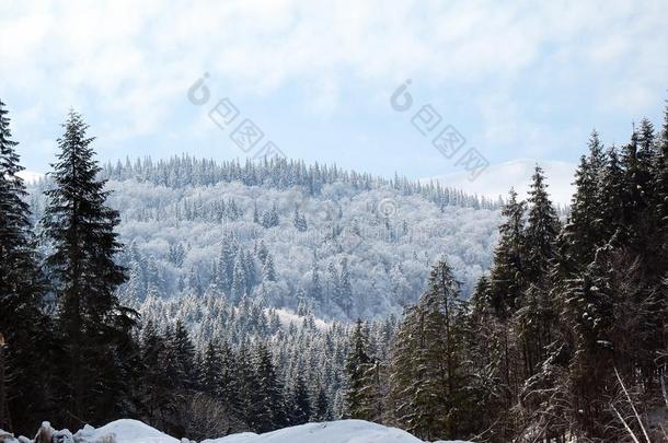 雪大量的山小山.