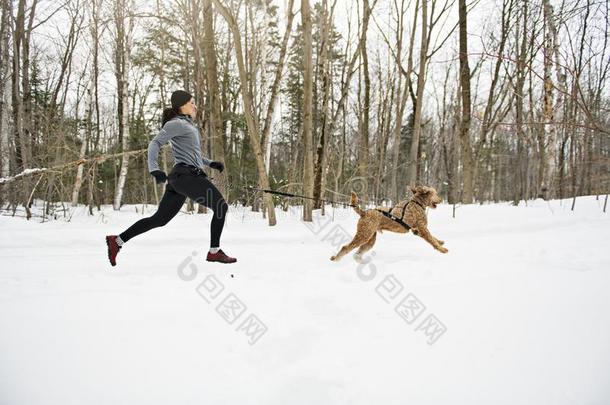 卡尼克罗斯雪橇公狗拉指已提到的人年幼的女人冬季节