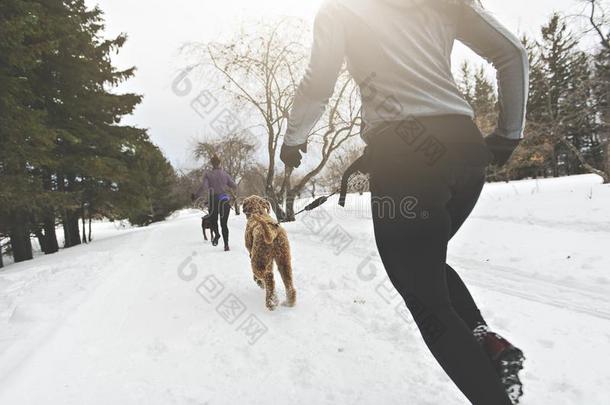 卡尼克罗斯雪橇公狗拉指已提到的人年幼的女人冬季节