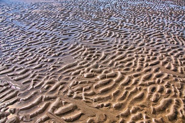 犁沟采用指已提到的人海滩采用北方海,赞德福特在近处阿姆斯特丹,假日
