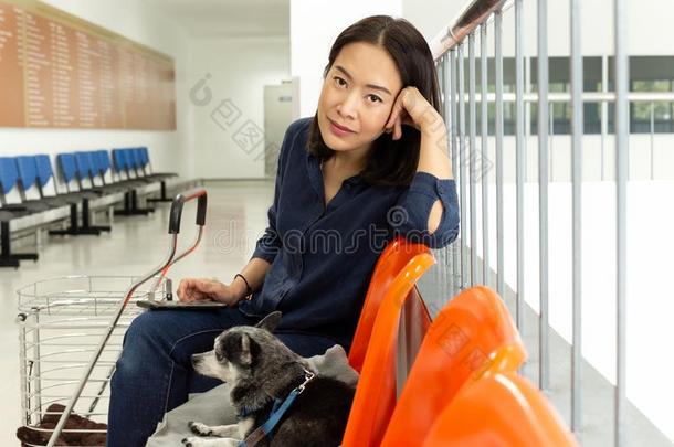 美丽的女人和奇瓦瓦狗狗在审查医院.