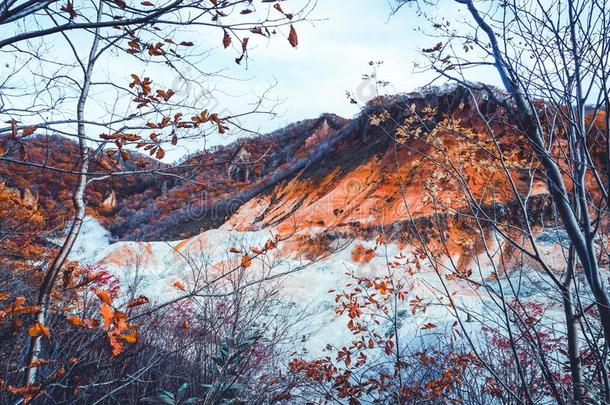 秋季节在诺贝图火山采用札幌<strong>北海道</strong>黑色亮漆