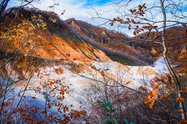 秋季节在诺贝图火山采用札幌<strong>北海道</strong>黑色亮漆