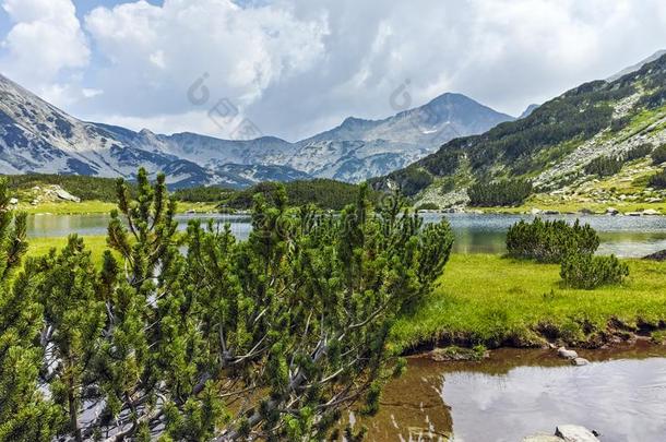 夏风景关于穆拉托夫湖,皮林山