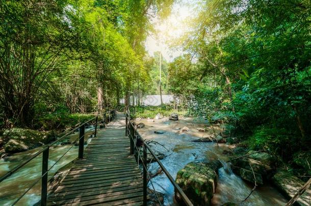 木制的桥和美丽的瀑布采用自然的