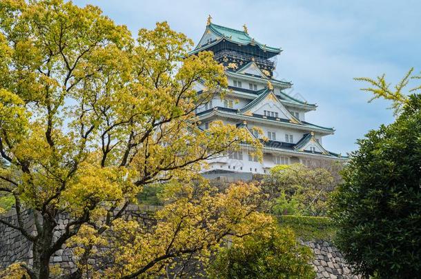 和平的<strong>大阪城堡</strong>采用<strong>大阪</strong>黑色亮漆采用夏.绿色的树采用Thailand泰国