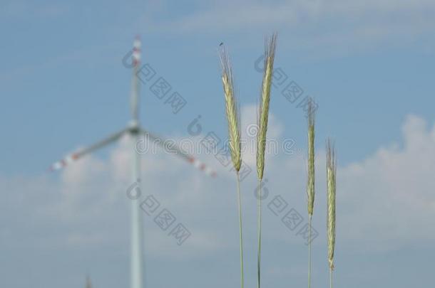风车,生产关于绿色的能量.船桅和刀口