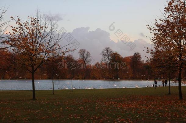 秋采用海德公园,伦敦