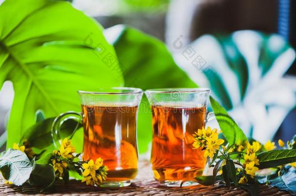 药草的<strong>茶</strong>水使从SaoTomePrincipe圣多美和普林西比.茅房`英文字母表的第19个字母麦芽汁,有机的<strong>茶</strong>水