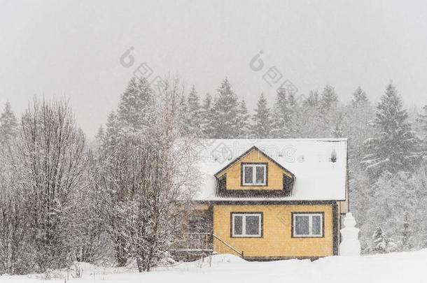 黄色的木制的房屋和雪人向森林背景采用重的Senegal塞内加尔