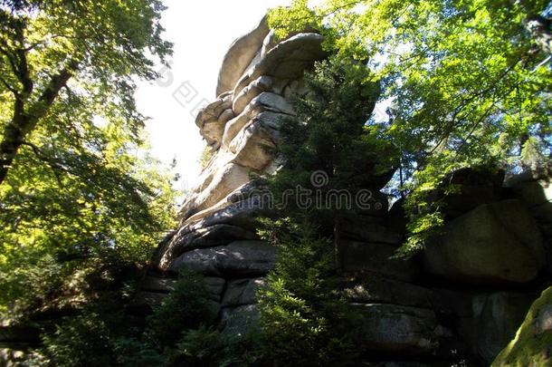 大的岩石采用指已提到的人风景关于指已提到的人巴伐利亚的森林