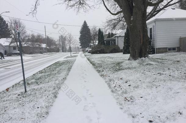 下雪的大街采用加拿大.观念关于狡猾的和寒冷的路<strong>简讯</strong>