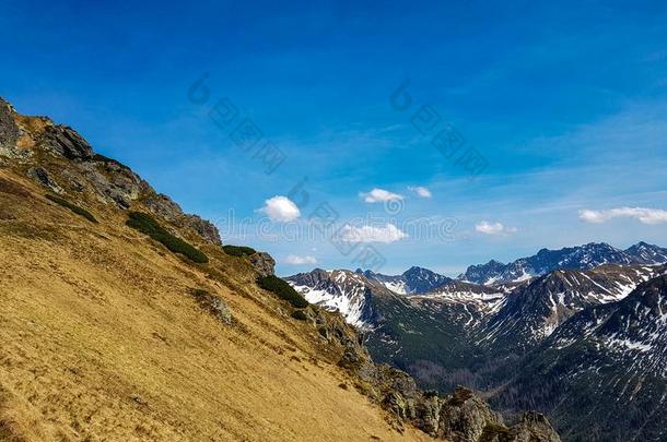 非常激动人心的看法向汽车品牌名称--捷克Nati向al公园和山采用和煦的：照到阳光的