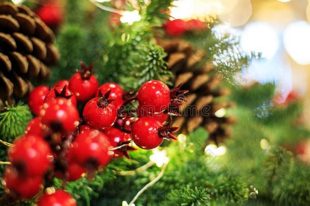 <strong>圣诞</strong>节树和红色的浆果和圆锥细胞.观念新的年切尔