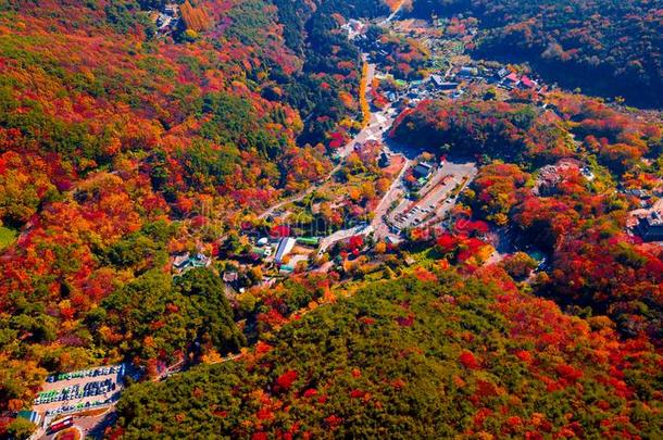 空气的看法关于梵魚寺庙采用釜山南方朝鲜.影像简明