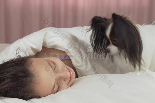 碟耳长毛玩赏小狗狗醒青少年女孩采用指已提到的人床