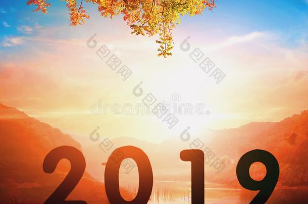 2019新的年观念:2019在日落背景