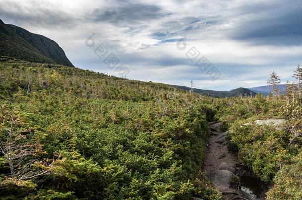 横棱绸人名山小路