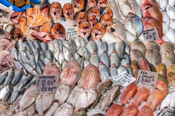 新鲜的咬人的狗,胭脂鱼和鲑鳟鱼为卖