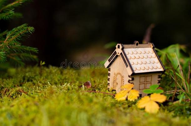 木制的房屋模型采用指已提到的人森林.观念