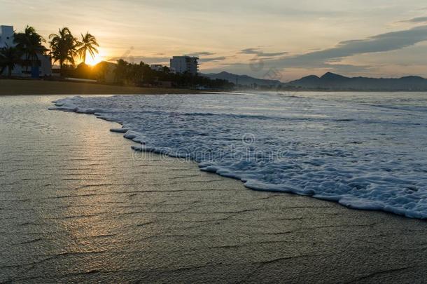 日出向指已提到的人海滩采用墨西哥.曼萨尼约