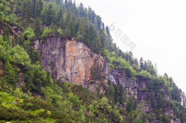 大大地石头山采用指已提到的人alkali-treatedlipopolysaccharide碱处理的脂多糖