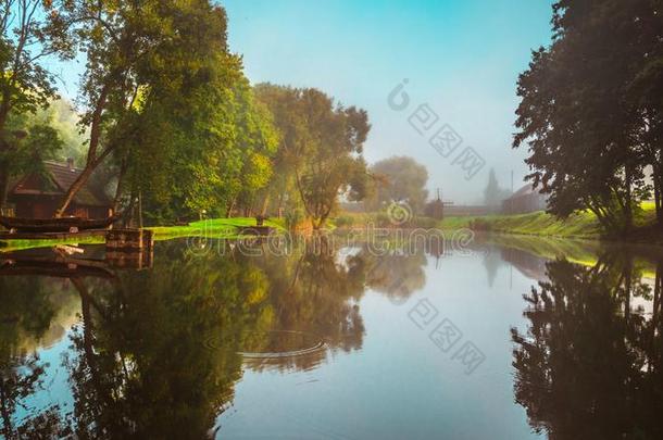 湖在近处森林,落下风景