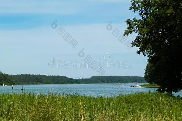 Wdzydze湖,图古拉森林,波兰