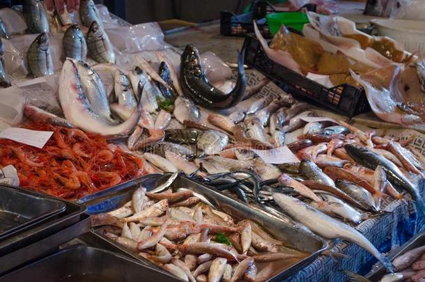 新鲜的鱼向地方的交易关于卡塔尼亚,西西里岛