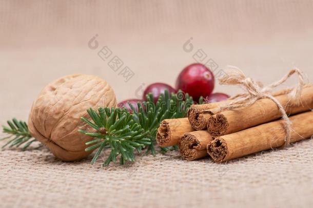 冬假日装饰:弗雷泽语源<strong>不详</strong>冷杉细枝,樟属植物乡间,walnut胡桃