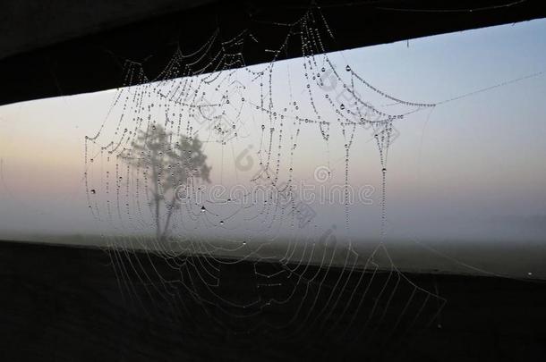 蜘蛛蜘蛛网和水落下向栏杆栏杆和美丽的