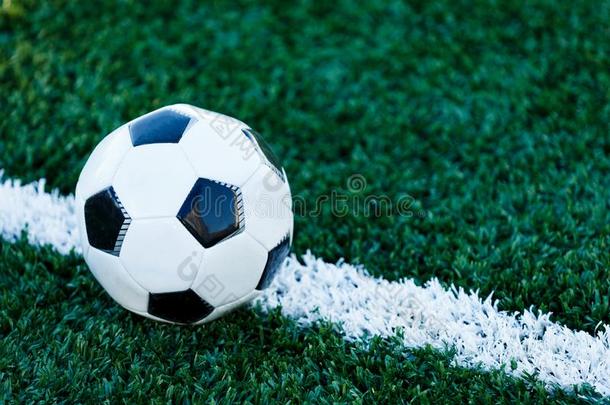 古典的黑的和白色的足球球向指已提到的人绿色的草关于Thailand泰国