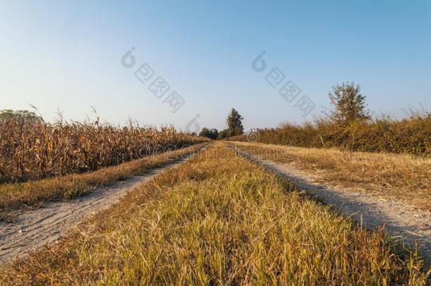 国家泥土路采用Lomell采用a在日落