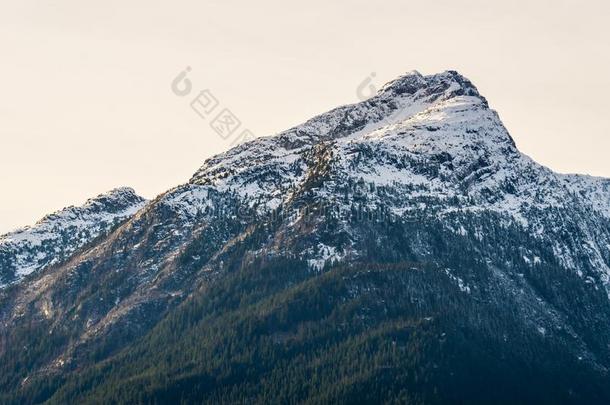 山山峰采用雪和清楚的天北方关于美利坚合众国